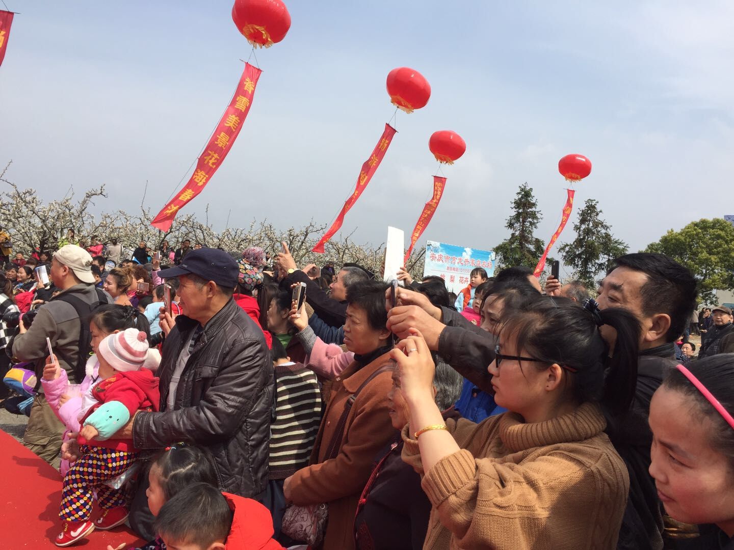 三生三世，十里梨园