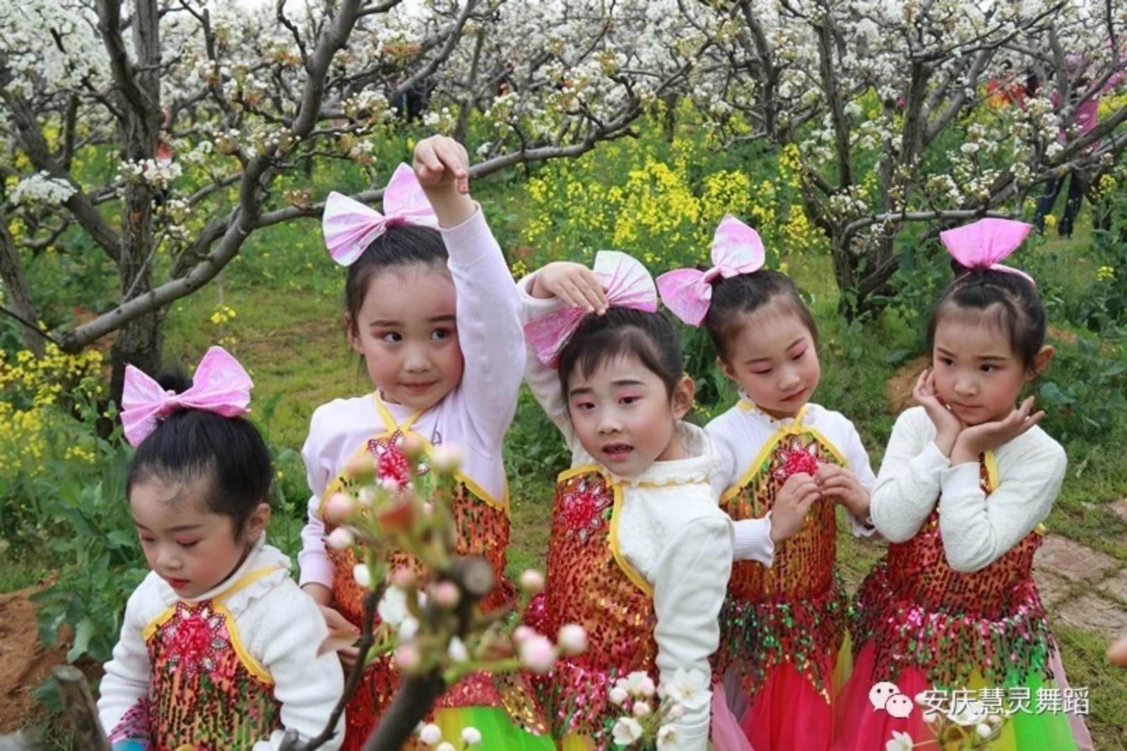 大龙山第四届梨花旅游文化节开幕式演出